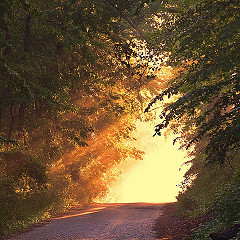 Reality Navigation Session - Psycho-Spiritual Therapy in Gerrards Cross