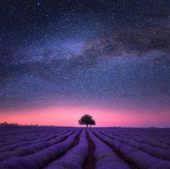 Personalised Healing Meditation / Bespoke Frequency Transmission